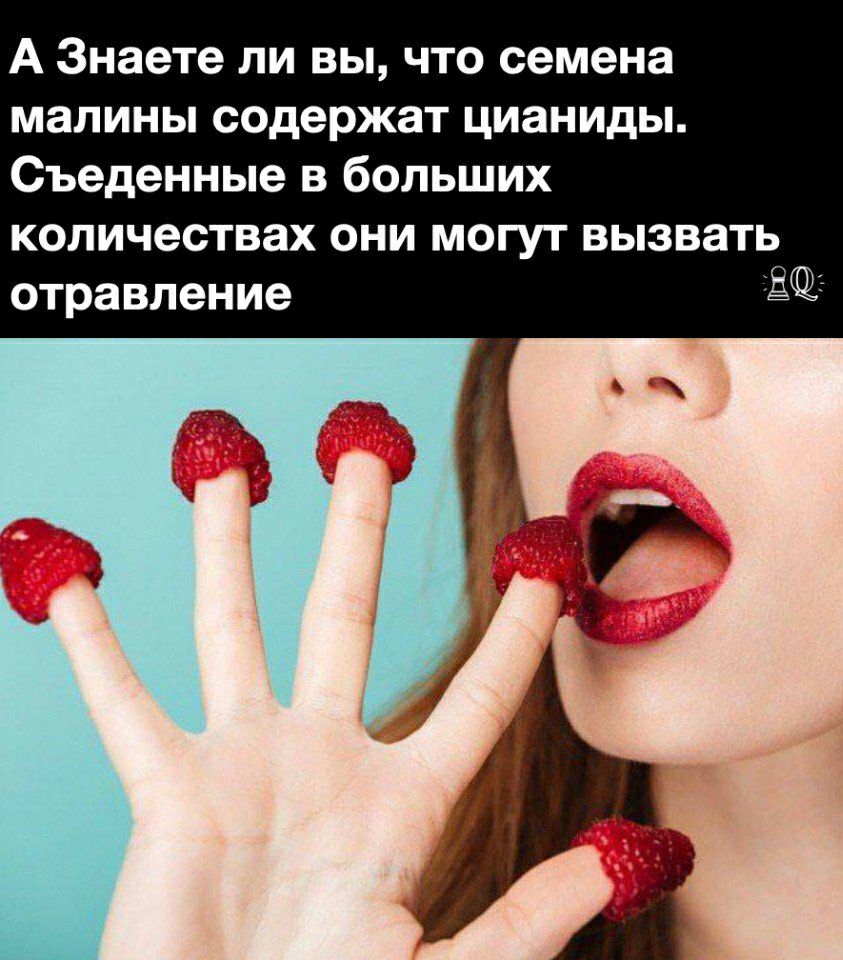 А Знаете ли вы что семена малины содержат цианиды Съеденные в больших количествах они могут вызвать отравление 3