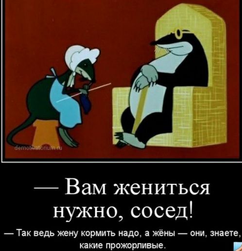Вам жениться нужно сосед Так ведь жену кормить надо а жёны они знаете какие прожорливые