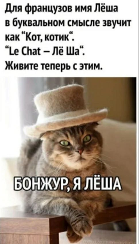 для французов имя Лёша в буквальном смысле звучит как Кот котик е На Лё Ша Живите теперь с этим