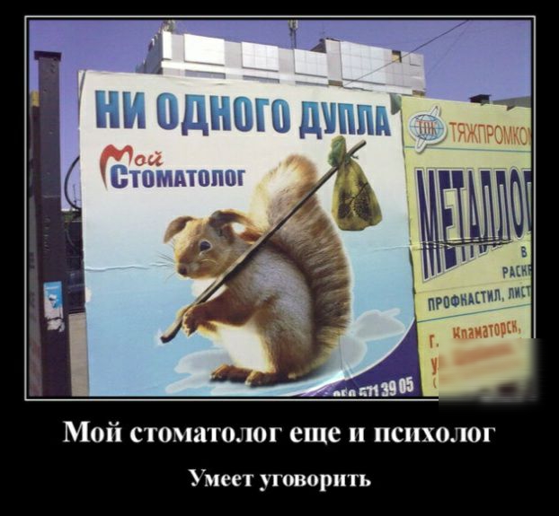 Мой стоматолог еще и психолог Умеет уговорить
