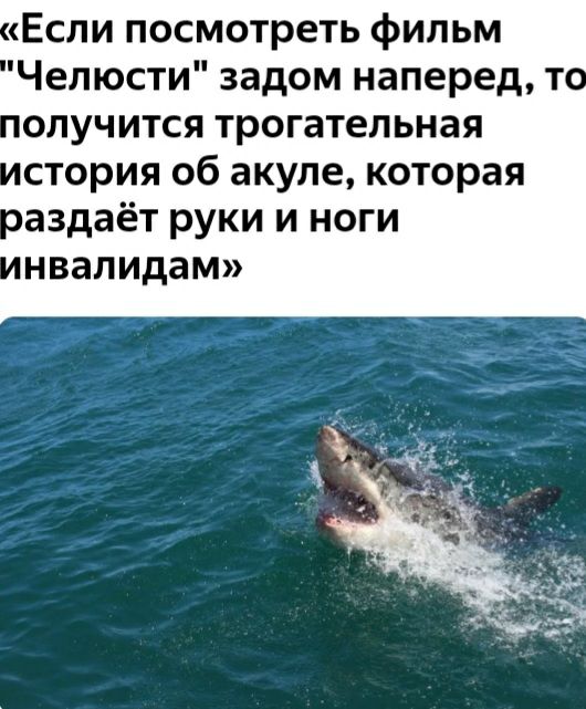 Если посмотреть фильм Челюсти задом наперед То олучится трогательная стория об акуле которая оаздаёт руки и ноги нвалидам
