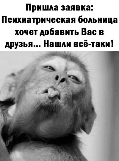 Пришла заявка Психиатрическая больница хочет добавить Вас в друзья Нашли всё таки