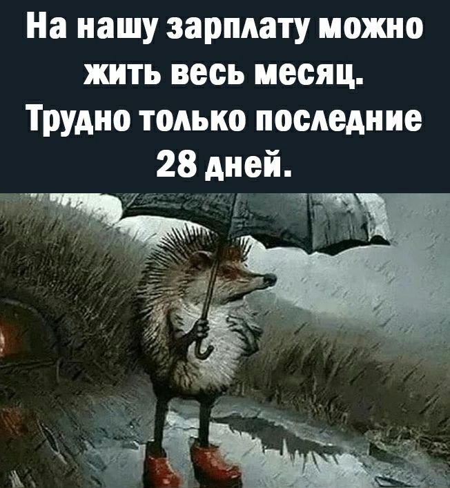 На нашу зарплату можно жить весь месяц Трудно только последние 28 дней 7
