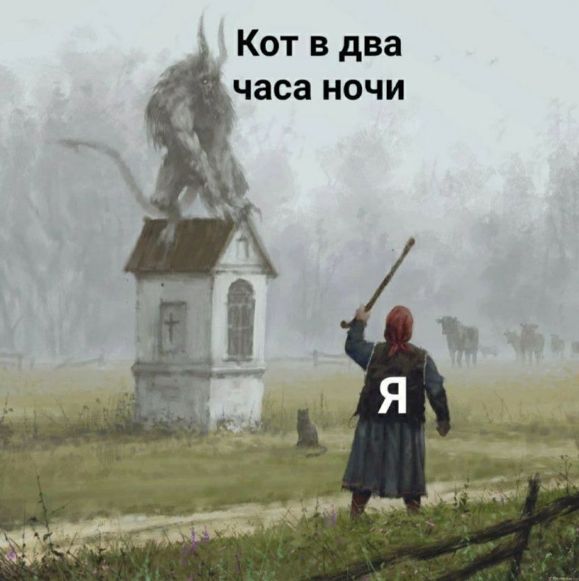_ Кот в два часа ночи
