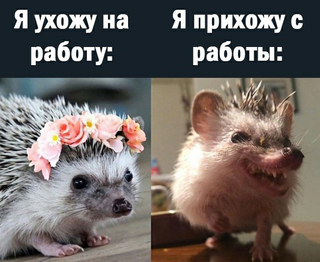я ухожу на я прихожу работу работы