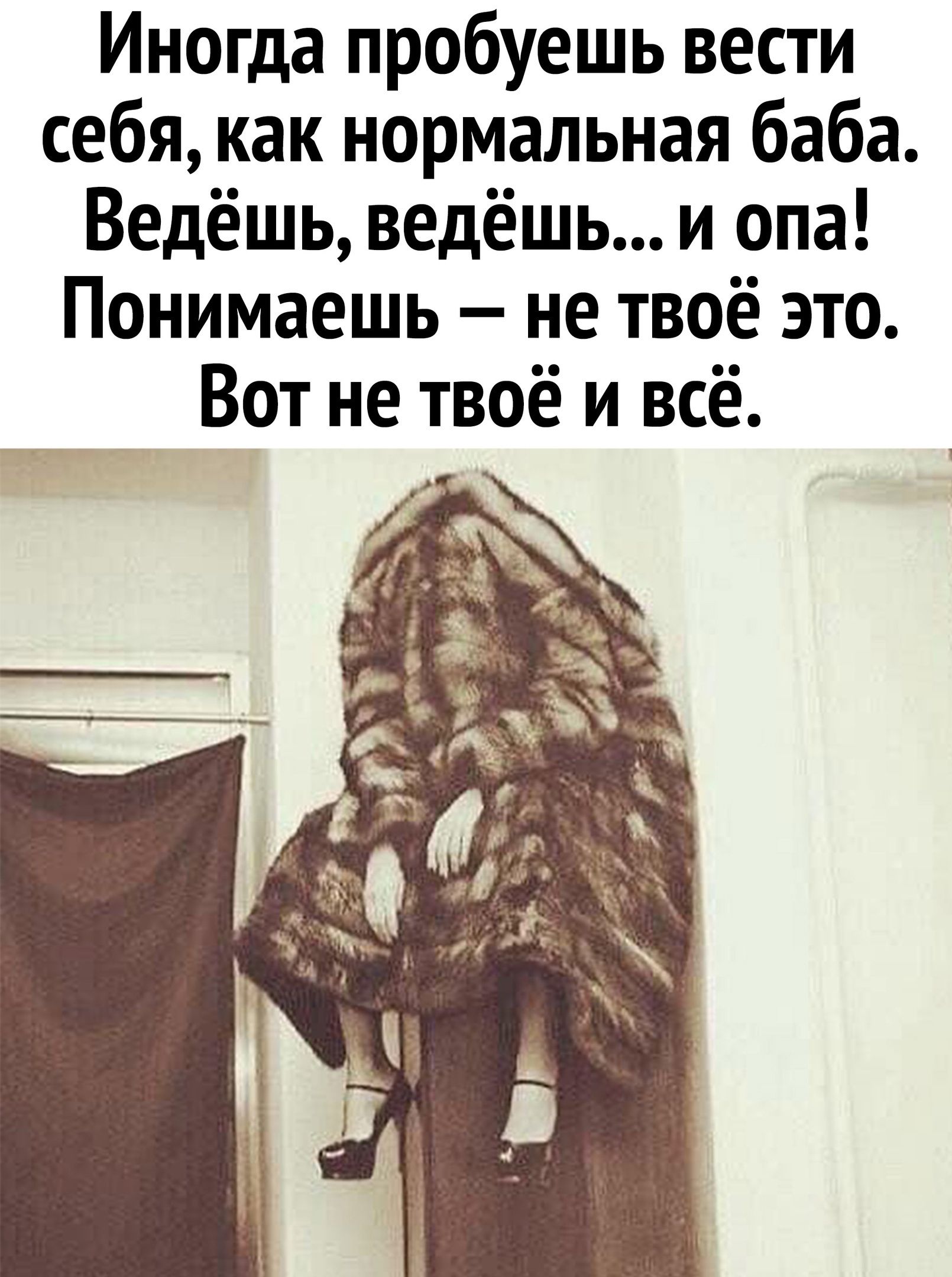 Иногда пробуешь вести себя как нормальная баба Ведёшь ведёшь и опа Понимаешь не твоё это Вот не твоё и всё