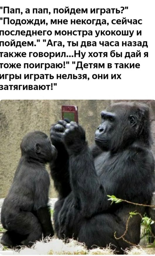 Пап а пап пойдем игр ть Подожди мне некогда сейчас оследнего монстра укокошу и ойдем Ага ты два часа назад