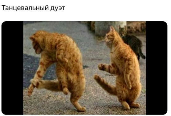 Танцевальный дуэт