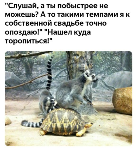 Слушай а ты побыстрее не можешь А то такими темпами я к собственной свадьбе точно опоздаю Нашел куда торопиться