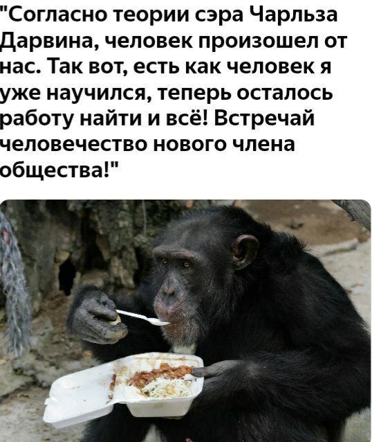 Согласно теории сэра Чарльза арвина человек произошел от ас Так вот есть как человек я же научился теперь осталось аботу найти и всё Встречай еловечество нового члена общества