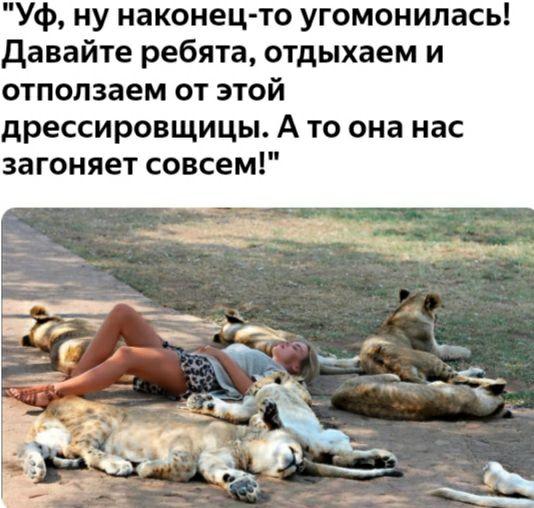 Уф ну наконец то угомонилась Давайте ребята отдыхаем и отползаем от этой дрессировщицы А то она нас загоняет совсем