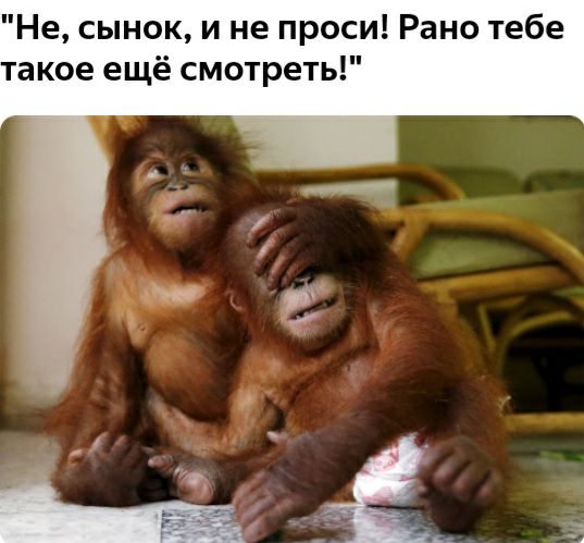 Не сынок и не проси Рано тебе такое ещё смотреть