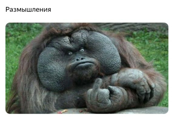 Размышления