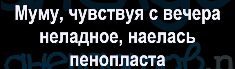 Муму чувствуя с вечера неладное наелась пенопласта