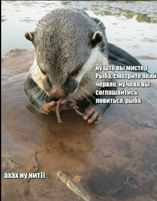 из с