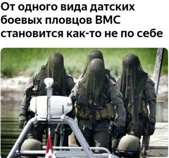 От одного вида датских боевых пловцов ВМС становится как то не по себе