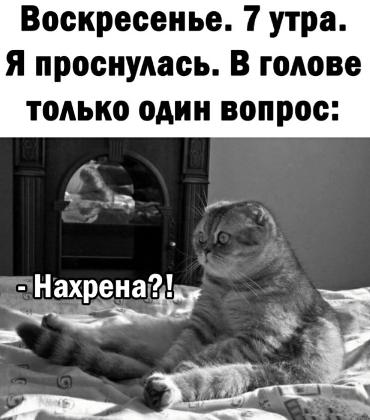 Воскресенье 7 утра я проснулась В голове только один вопрос