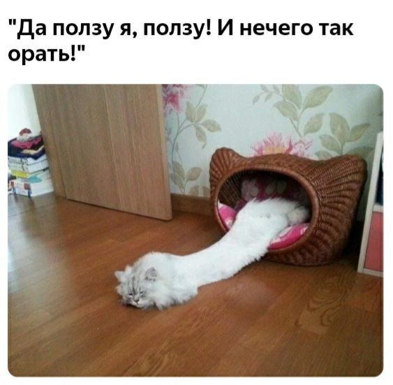 да ползу я ползу И нечего так