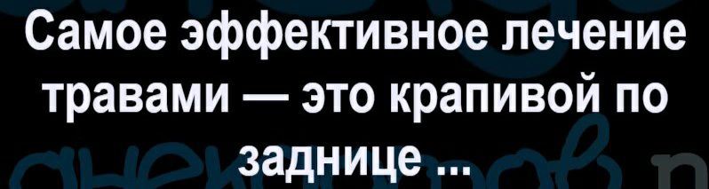 Самое эффективное лечение травами это крапивой по заднице