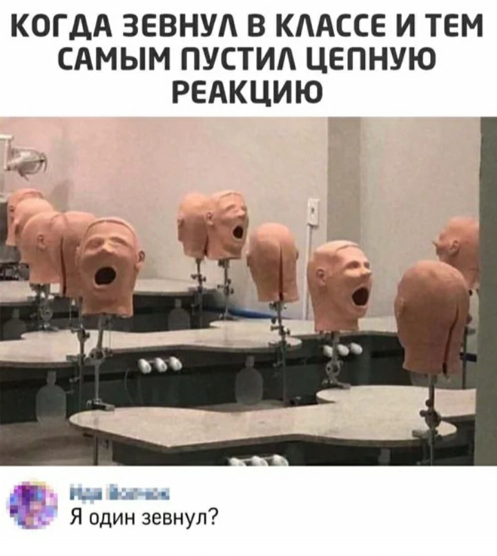 КОГДА ЗЕВНУА В КААССЕ И ТЕМ САМЫМ ПУСТИА ЦЕПНУЮ РЕАКЦИЮ Р ш д п Я один зевнул