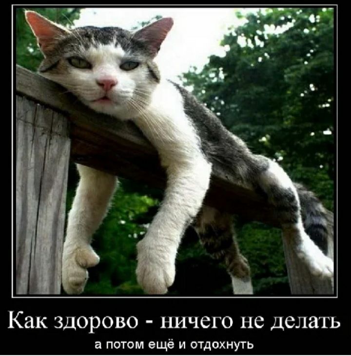 Как здорово ничего не делать а потом ещё и отдохнуть