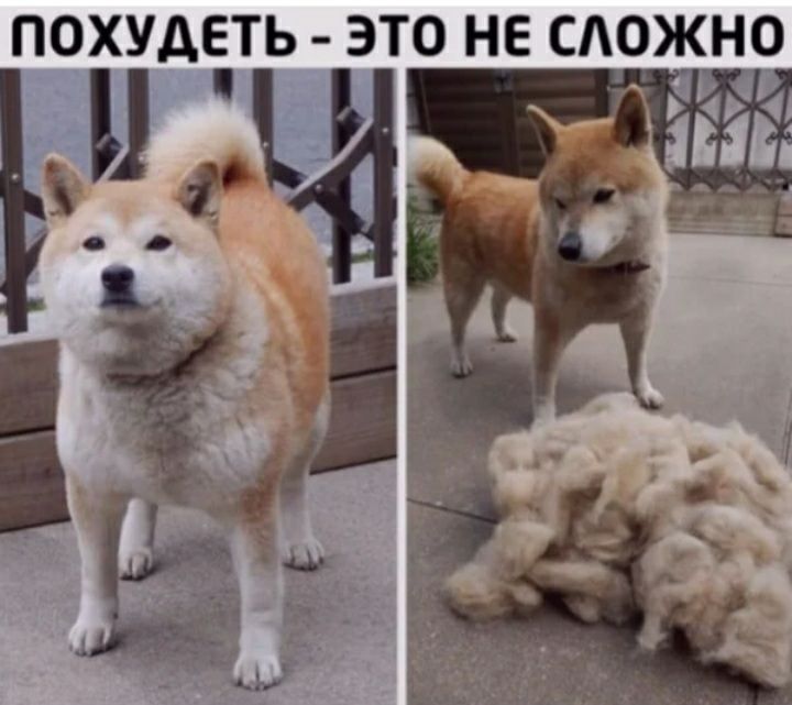 ПОХУДЕТЬ ЭТО НЕ САОЖНО