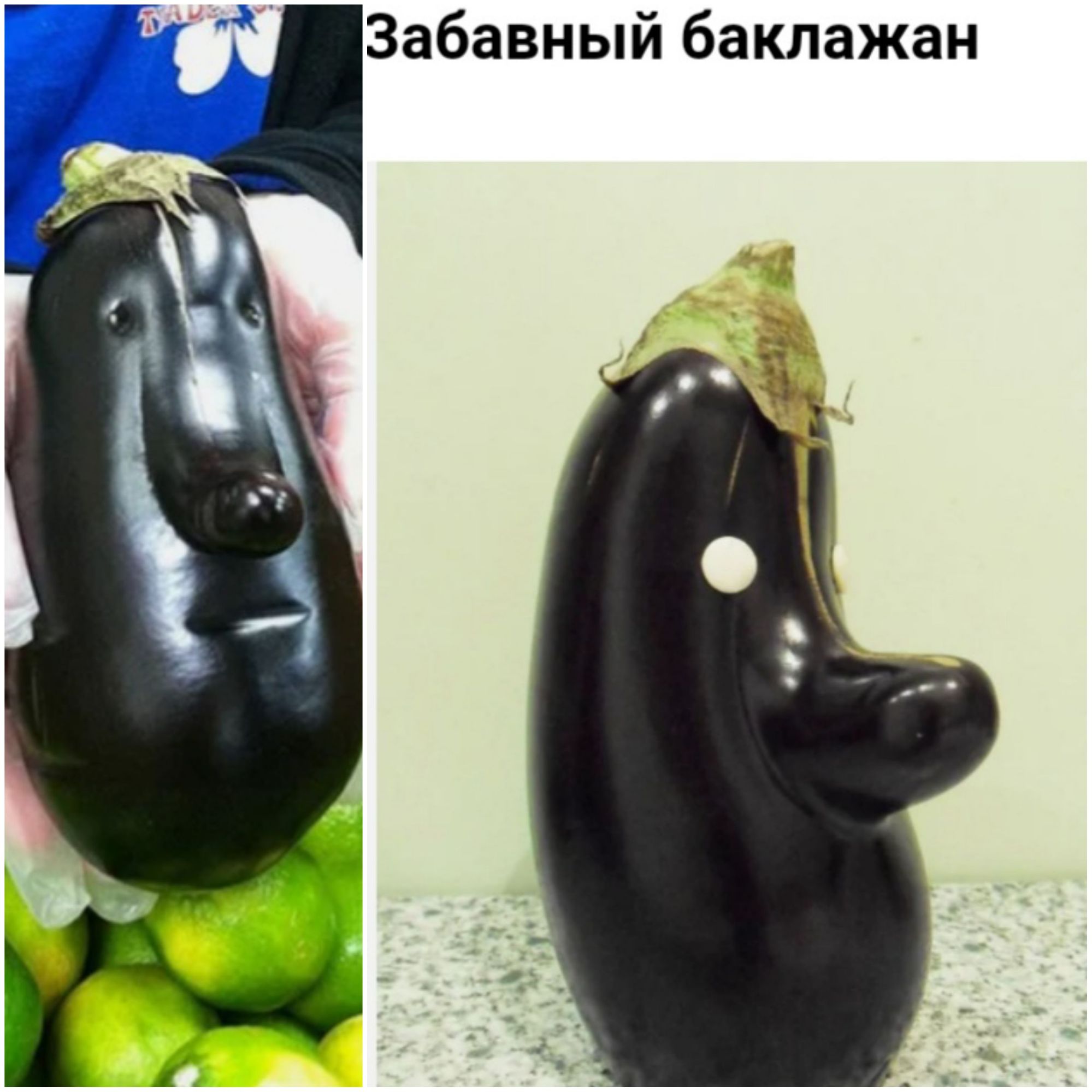 Вабавный баклажан