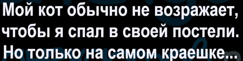 Мой кот обычно не возражает чтобы я спал в своей постели Но только на самом краешке