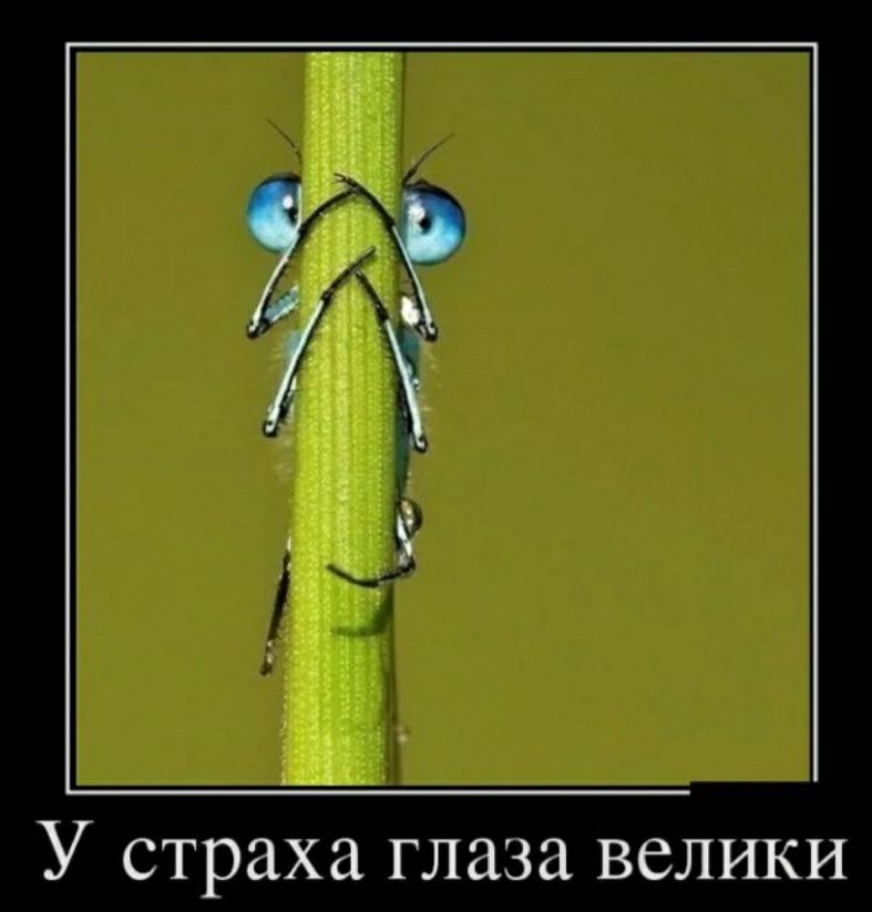 У страха глаза велики