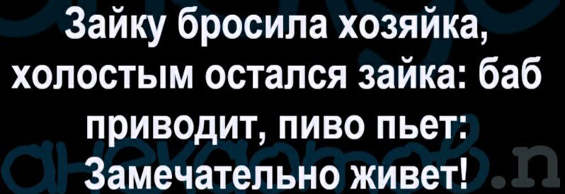 Зайку бросила хозяйка холостым остался зайка баб приводит пиво пьет Замечательно живет