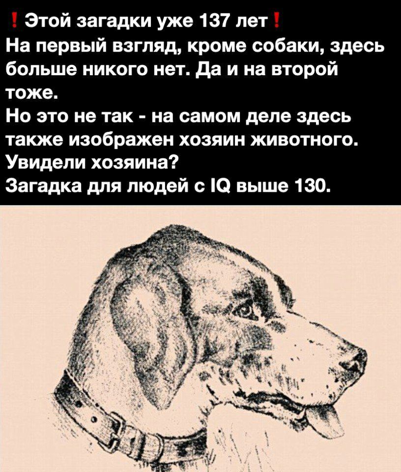 Этой загадки уже 137 лет На первый взгляд кроме собаки здесь больше никого нет да и на второй тоже Но это не так на самом деле здесь также изображен хозяин животного Увидели хозяина Загадка для людей с Ю выше 130