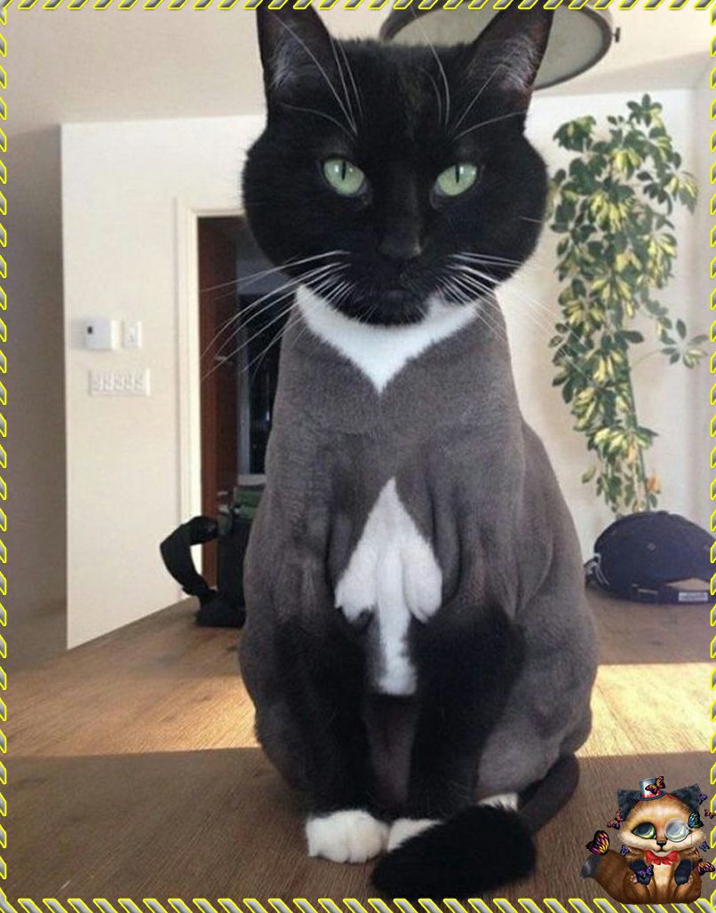 а еа
