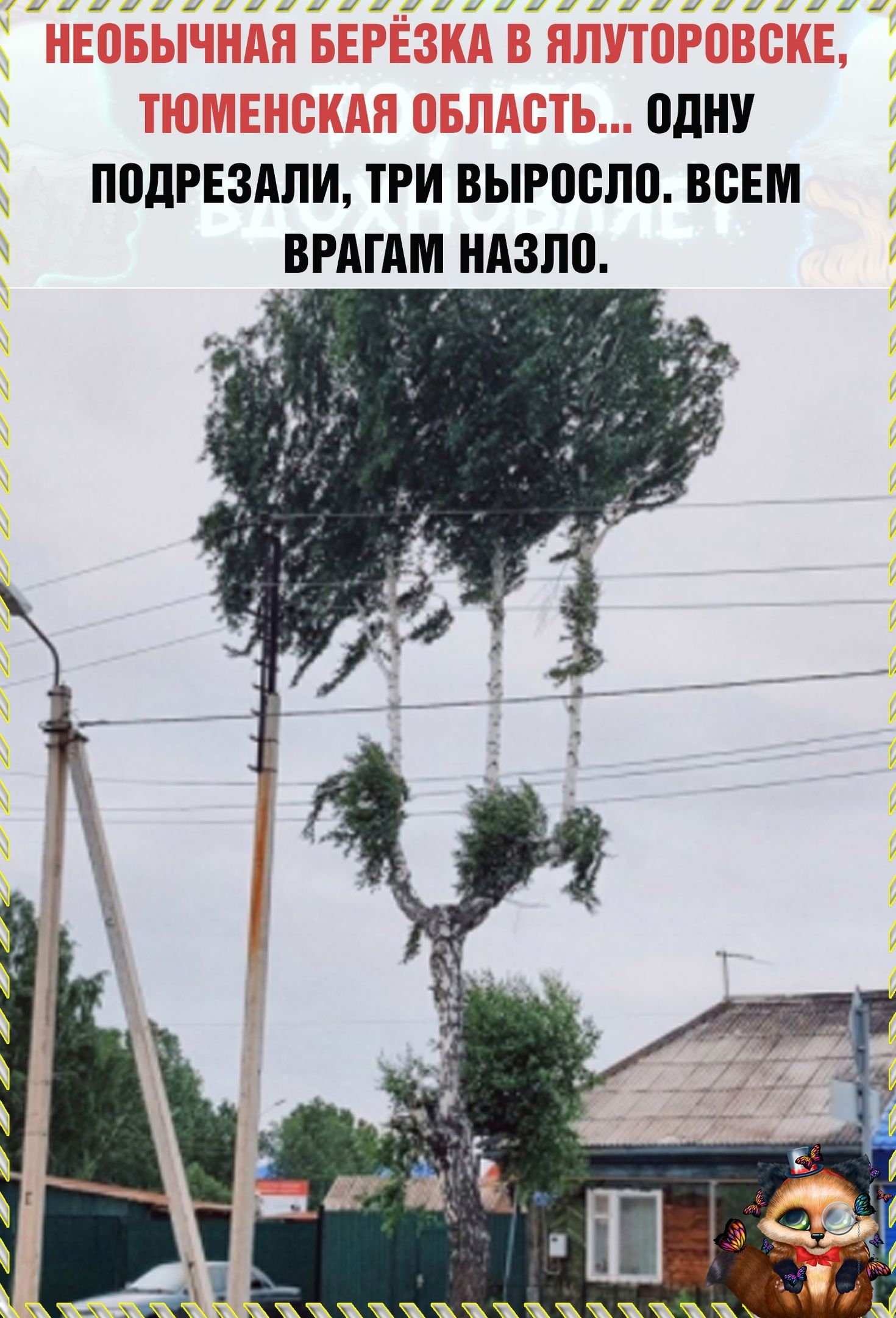 ВДНУ П0дРЕ3дЛИ ТРИ ВЫРПВЛВ ВСЕМ ВРАГАМ НАЗЛВ