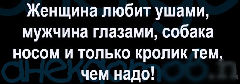 Женщина любит ушами мужчина глазами собака носом и только кролик тем чем надо