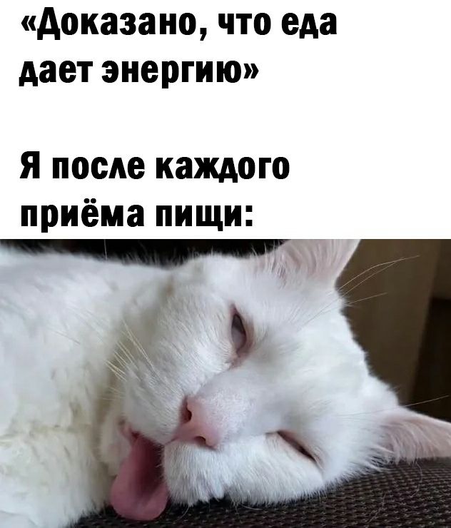 доказано что еда дает энергию я после каждого приёма пищи