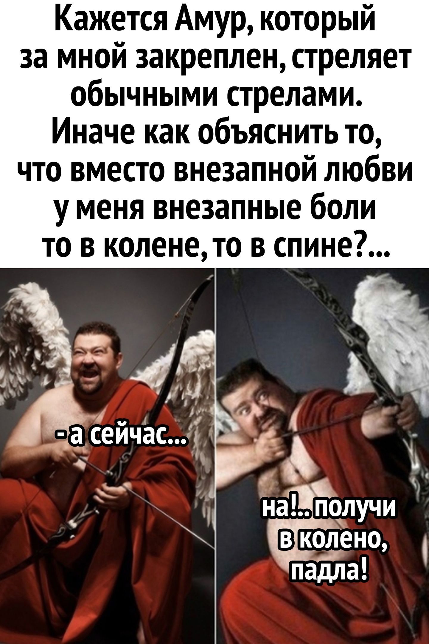 Кажется Амур который за мной закреплен стреляет обычными стрелами Иначе как объяснить то что вместо внезапной любви у меня внезапные боли то в коленето в спине 7 г в _ _ У 4 _ _ _ с да сеичас Ъ на получи ВКОЛЕНО падла
