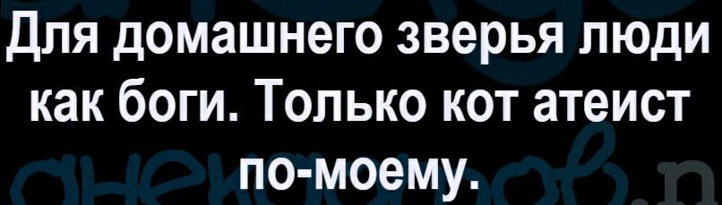 Для домашнего зверья люди как боги Только кот атеист по моему