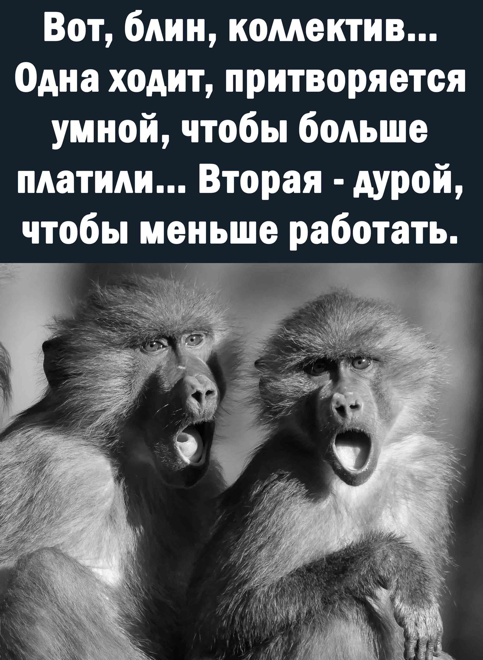 Вот блин комектив дна ходит притворяется умной чтобы больше платили Вторая  дурой чтобы меньше работать - выпуск №1020565