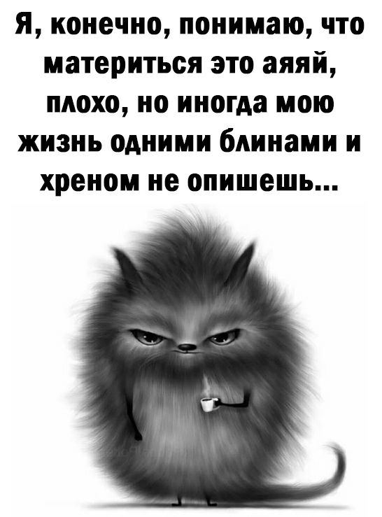 я конечно понимаю что материться это аяяй плохо но иногда мою жизнь одними блинами и хреном не опишешь