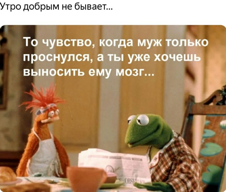 тро добрым не бывает дп То чувство когда муж только проснулся а ты уже хочеш выносить ему мозг