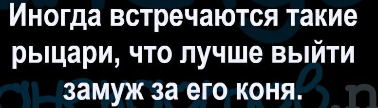 Иногда встречаются такие рыцари что лучше выйти замуж за его коня