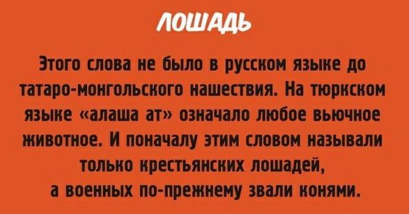 ЛОШАДЬ Этого слова не было о русском языке до таро монгольского нашествия На тюркском языке алаша ат означало любое оыочное животное и поначалу этим ством называли только крестьянки лошадей а военных по поемиему шли конями