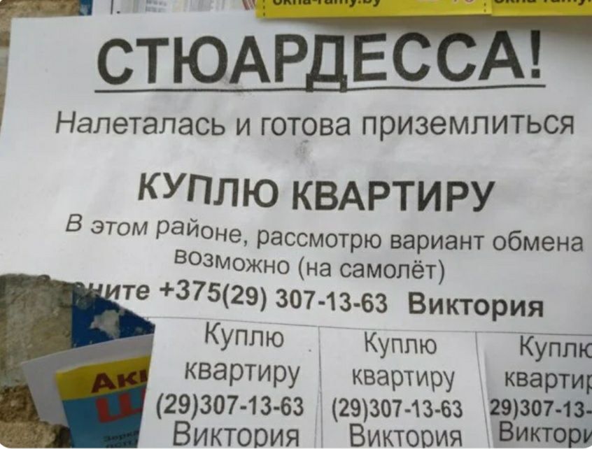 писи ч _ ___ _____ сюАР Налетапась И ГОТОВЭ ПРИЗЭМЛИТЬСЯ КУПЛЮ КВАРТИРУ В этом равионе рассмотрю вариант обмена 03Можно на самолёт те 37529 307 13 63 Виктория КУППЮ Куплю Куйтс квартиру квартиру кверти 29307 13 63 29307 13 63 29зо7 1з Виктория Виктория ВИКТОР 40
