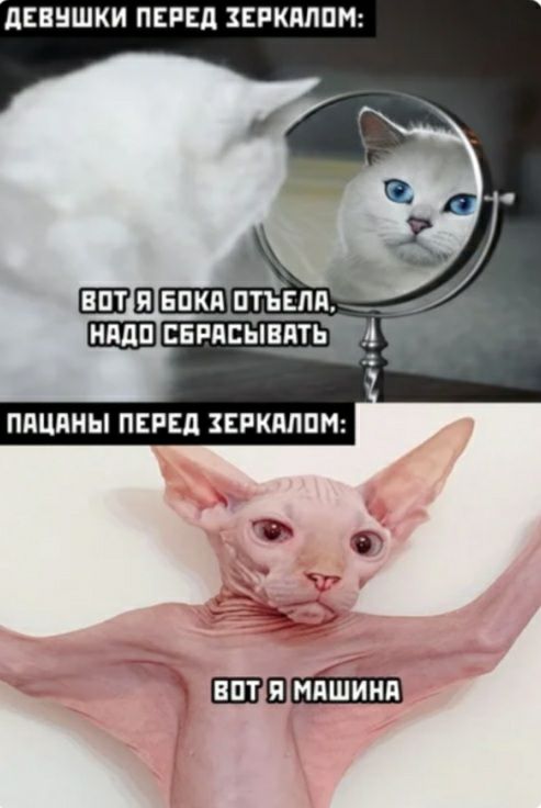 дЕЕНШКИ ПЕРЕД ЕРКМПМ Шнпкя цтъвля __ сндяЁЕындтд