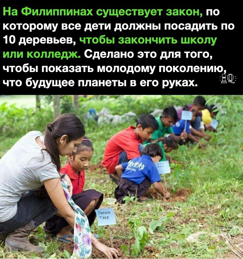 дт д д по которому все дети должны посадить по 10деревьев 3 к мы из _ Сделано это для того чтобы показать молодому поколению что будущее планеты в его руках