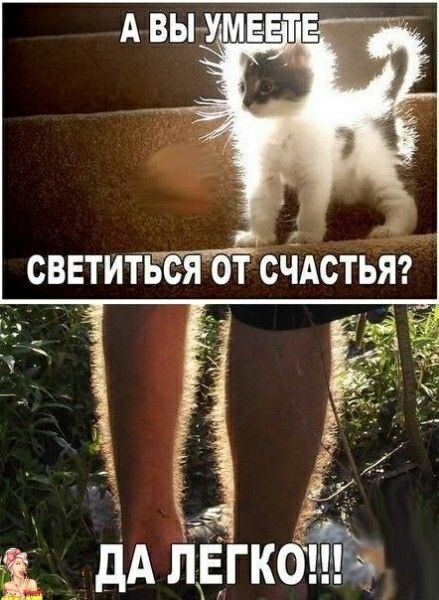 т ' а  й  э  да легко!!8
