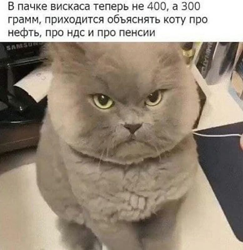 В пачке вискаса теперь не 400 а 300 грамм приходится объяснять коту про нефть про ндс и про пенсии