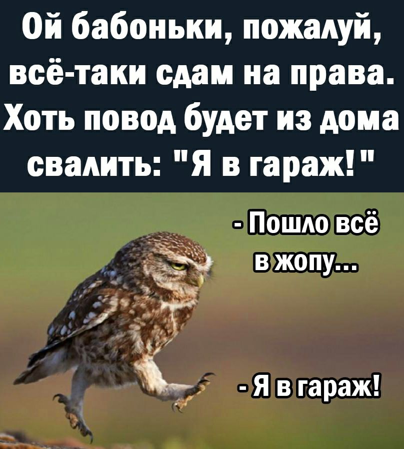 Ой бабоньки пожалуй всё таки сдам на права Хоть повод будет из дома свалить Я в гараж _ 7 Пошло всё в жопу т Я в гараж