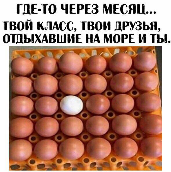 ГДЕ ТО ЧЕРЕЗ МЕСЯЦ твой клдсс твои друзья отдыхдвшиг нд мои и ты