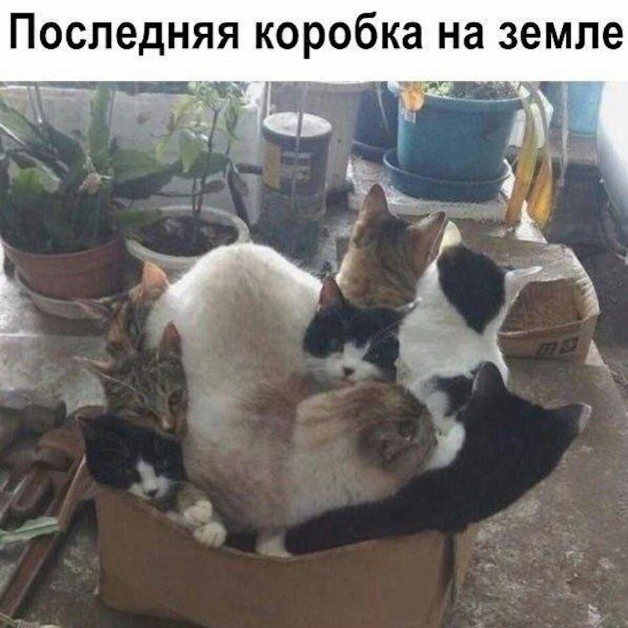 ПОСПЭДНЯЯ коробка на земле